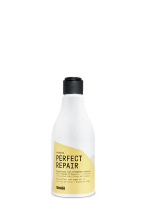 PERFECT REPAIR-ΣΑΜΠΟΥΑΝ ΑΝΑΔΟΜΗΣΗΣ 250ml