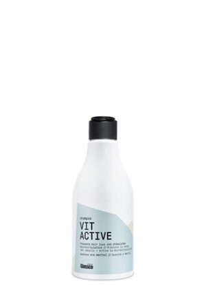 VIT ACTIVE-ΣΑΜΠΟΥΑΝ ΤΡΙΧΟΠΤΩΣΗΣ 250ml