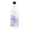 silver 1L ready